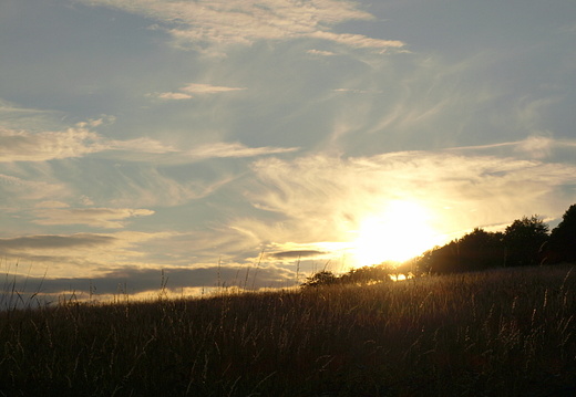 20080725123622 saar felder