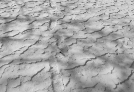 Spuren im Schnee