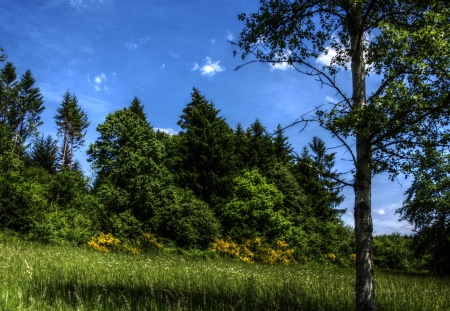 Zu viel HDR