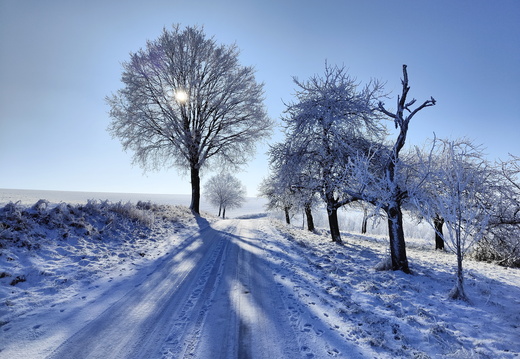 Im Winter